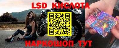 a pvp Будённовск