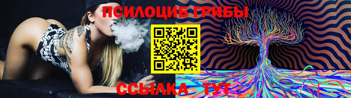 Псилоцибиновые грибы Cubensis Рязань