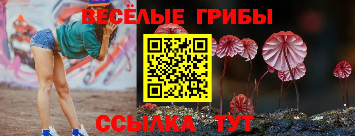 Псилоцибиновые грибы Psilocybe  Вход с VPN  Рязань 